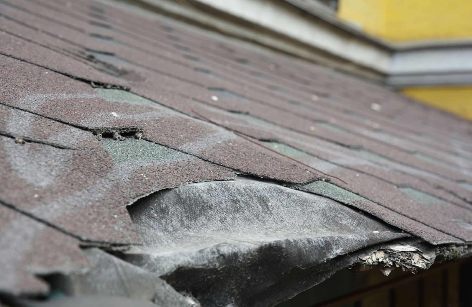 South County Exteriors Images