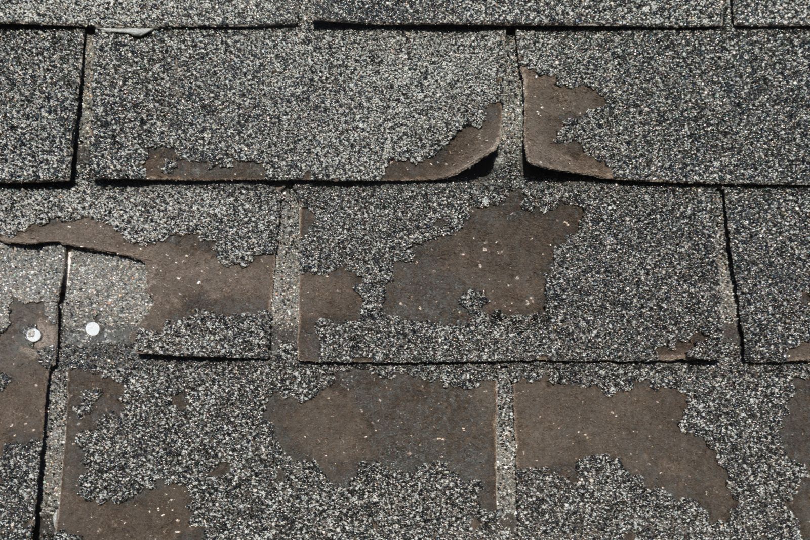 South County Exteriors Images