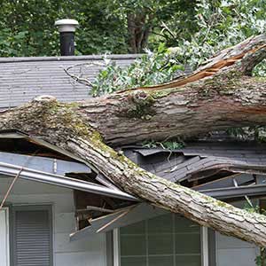 Close up of a roof severely damaged by a large tree that fell on it