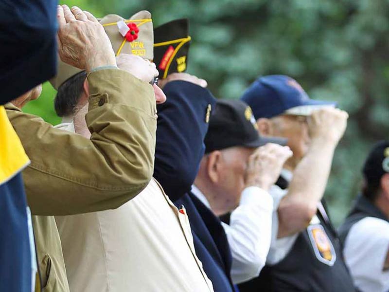 Military men in a line and saluting